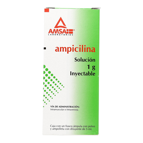 AMPICILINA (Amsa) Sol. Iny. c/1 FCO. AMP. 1 G/5 ML. Ampicilina 1g. (Sol. Inyectable). NA