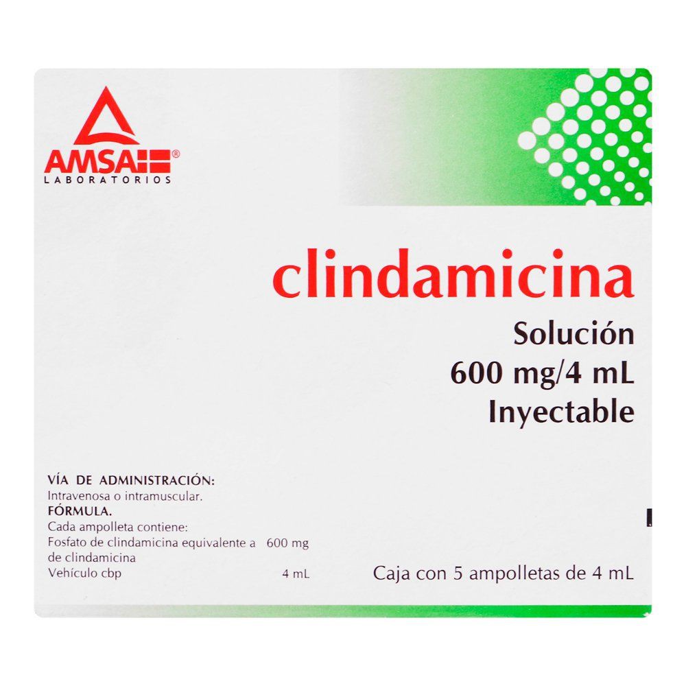 CLINDAMICINA (Amsa) Sol. Iny. c/5 AMPTAS. 600 MG/4 ML.