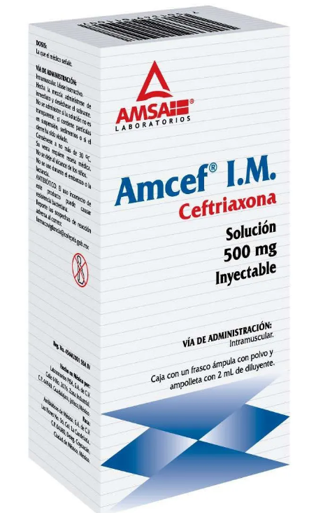 AMCEF I.M. Sol. Iny. c/1 FCO. AMP. 500 MG/2 ML. Ceftriaxona  500mg. (I.M.) NA