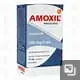 AMOXIL SUSP. Fco. 75 ML. 500 MG/5 ML. Amoxicilina  500mg. (Susp. Oral). NA