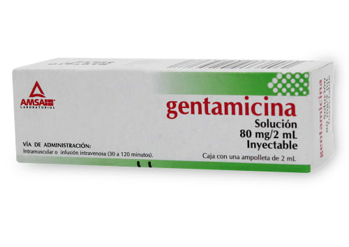 [7501349025387] GENTAMICINA (Amsa) Sol. Iny. c/1 AMPTA.  80 MG/2 ML. Gentamicina  80mg. NA