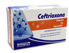 [7502208894557] CEFTRIAXONA 1GR SOLUCION INYECTABLÑE C/1 AMPOLLETA BRULUAGSA COLLINS
