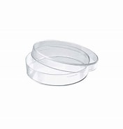 [PW182] Caja Petri 90X15 mm paquete de 10 pzs. Corrugado con 72 paquetes. GH